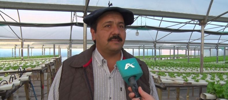 Matias Bobadilla, productor mediante agricultura hidropónica en Tunuyán