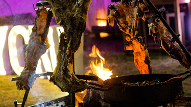 Celebración en Godoy Cruz por el Día de la Tradición. Celebración en Godoy Cruz por el Día de la Tradición.