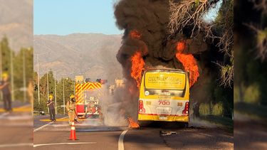 El colectivo pertenece a la empresa Dicetours. El colectivo pertenece a la empresa Dicetours.