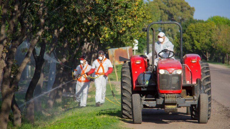 Se suman más casos de dengue en General Alvear