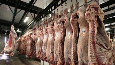 En 2019 el consumo de carne vacuna cayó al menor nivel de la década