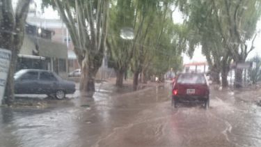 Sitio Andino | Cervantes redimensionar