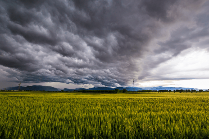 El Niño puede mejorar los rindes de cosecha de soja y maiz
