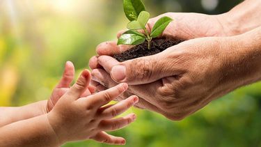 Día Nacional de la Conciencia Ambiental: por qué se conmemora hoy, 27 de septiembre