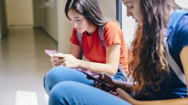 La prohibición no siempre es efectiva si no está acompañada de comprensión y seguimiento La prohibición no siempre es efectiva si no está acompañada de comprensión y seguimiento