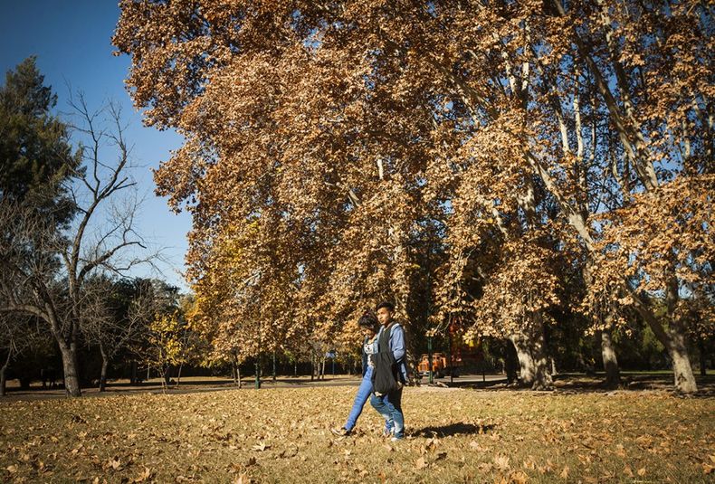 Parque General san martin, otoño, paseo, pareja