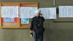 Dónde voto en General Alvear: consultá el padrón electoral