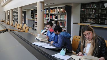 Sitio Andino | Biblioteca san martin