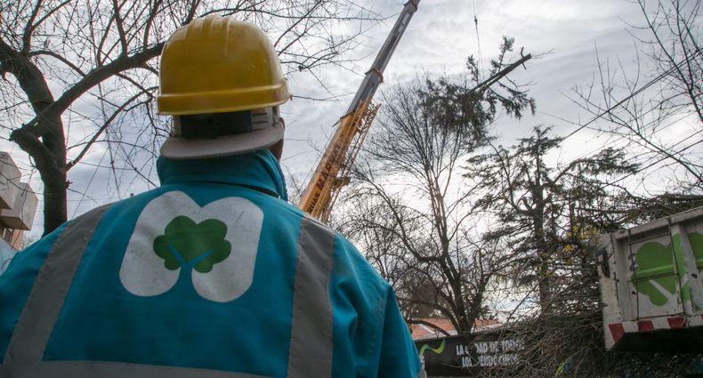 Atentos al cronograma de limpieza, arbolado y bacheo en Ciudad.