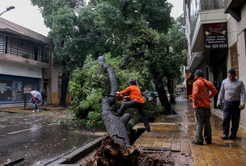 El día después de la tormenta