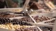 Chocolate, alfajores y miles de visitantes: el festival que sorprendió en Mendoza