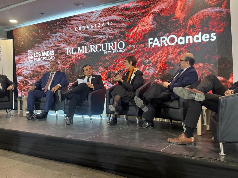 Panel 