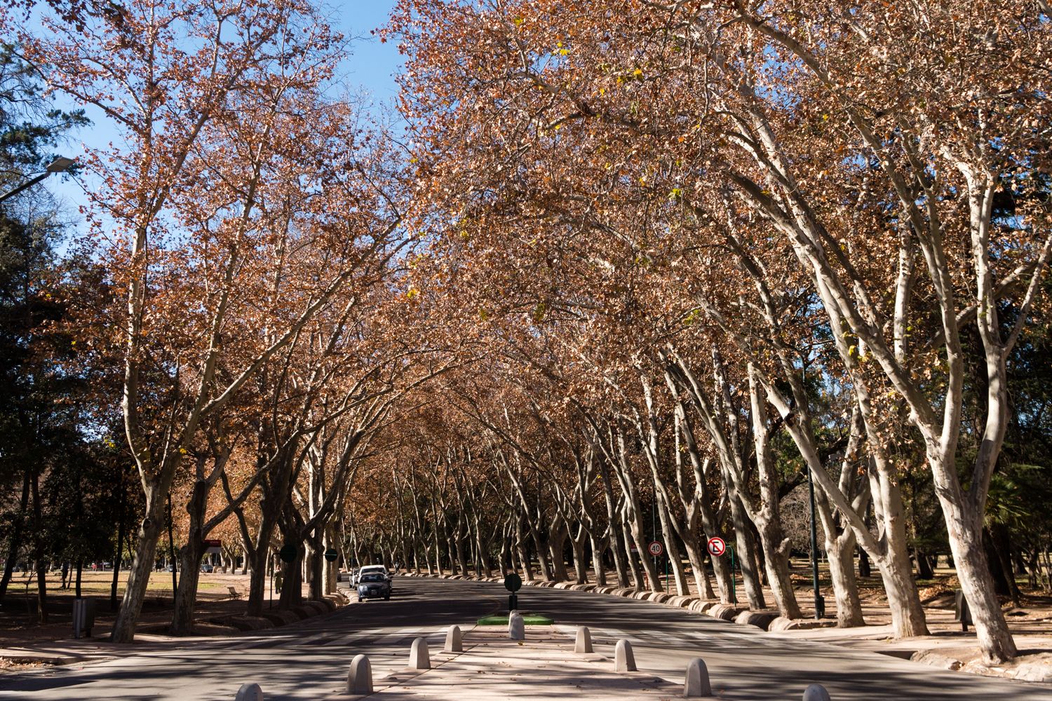 Jornada parcialmente nublada, el pronóstico del tiempo para este martes 29 de abril en Mendoza.