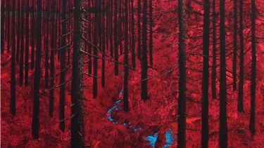 Sitio Andino | ARTISTA FERNANDO JEREB,