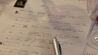 Cien enólogos trazan el top ten de los vinos Argentinos