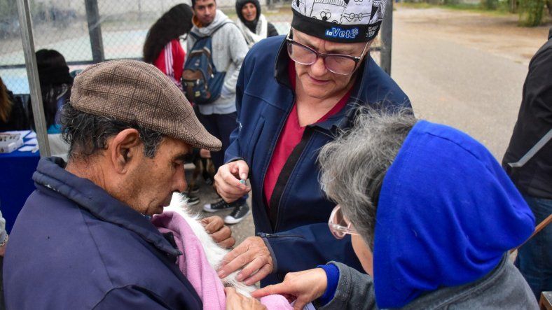 Móvil de castración veterinaria en Tunuyán. Móvil de castración veterinaria en Tunuyán.