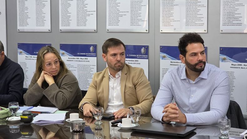 Diputados analizó el proyecto para explorar litio en el sur provincial.