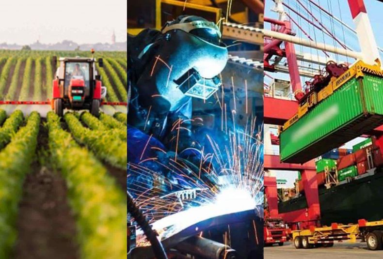 Actividad económica