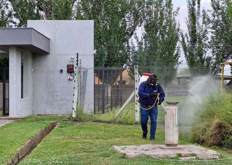 La Municipalidad de Maip&uacute; lleva tareas territoriales para evitar enfermedades transmitidas por mosquitos, como el dengue.