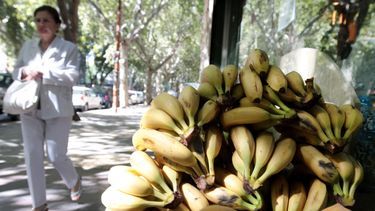 Sitio Andino | verdulería, frutas y verduras, precios, canasta familiar
