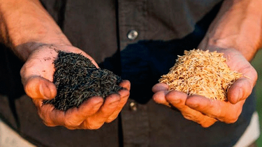 Carbón de arroz, la revolución ambiental para el asado