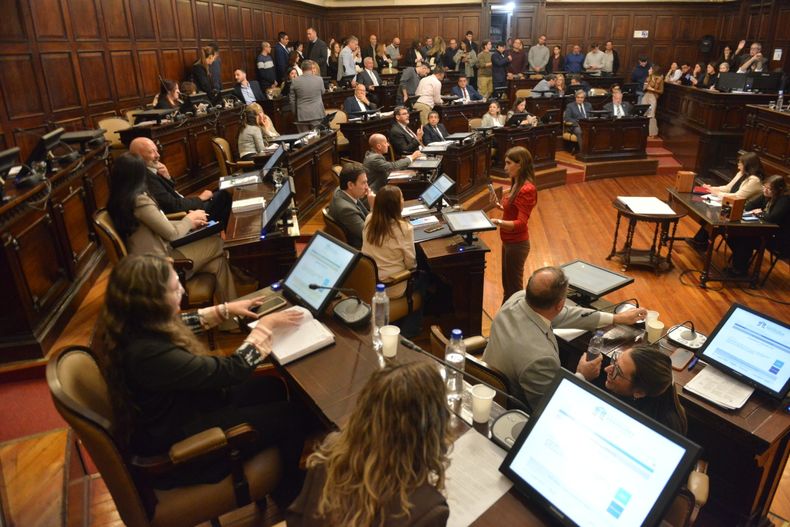 Cámara de Senadores.