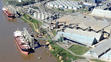 soja: cinco agroexportadoras se beneficiaron con 2000 millones de dolares