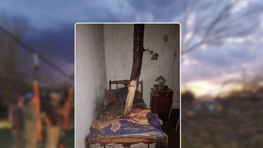 Sitio Andino | rama caída 02.jpg
