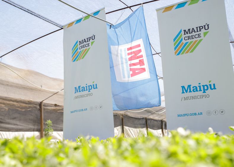 El Municipio de Maipú busca estar presente en el desarrollo de una sociedad sustentable.