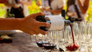 Mendoza envió más de mil botellas de vino a Francia y refuerza su presencia internacional Mendoza envió más de mil botellas de vino a Francia y refuerza su presencia internacional