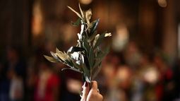 Domingo de Ramos: por qué se celebra hoy, 13 de abril