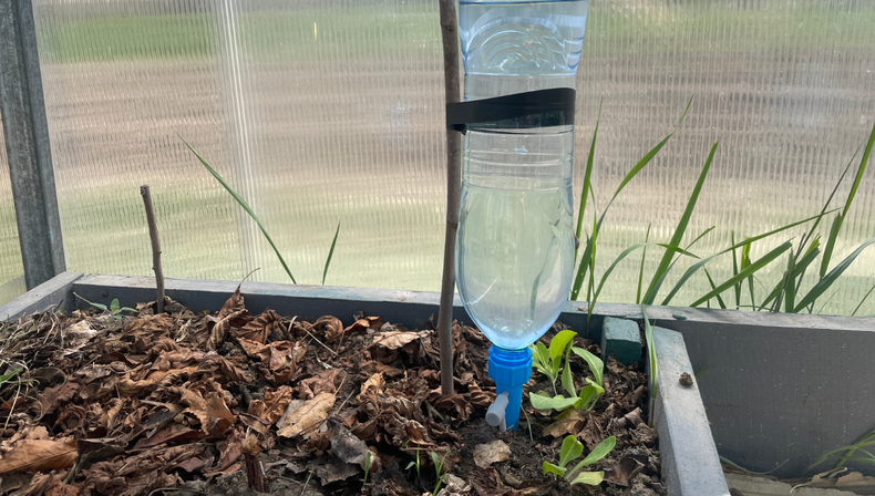 Jardiner&iacute;a: el truco con botellas pl&aacute;sticas que posibilita el riego justo para tus plantas