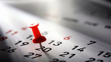 Calendario de feriados 2026 en Argentina: fechas confirmadas y cuántos días libres habrá Calendario de feriados 2026 en Argentina: fechas confirmadas y cuántos días libres habrá