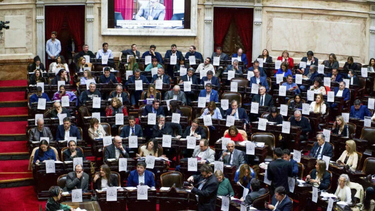 Se aprobó y giró al Senado la emergencia en discapacidad hasta 2027.