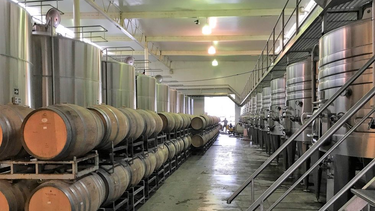 coviar: entidades del sector vitivinicola de toda argentina defienden su existencia