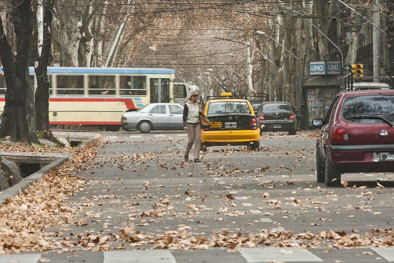 Alerta por viento Zonda en Mendoza: qué departamentos afectará.