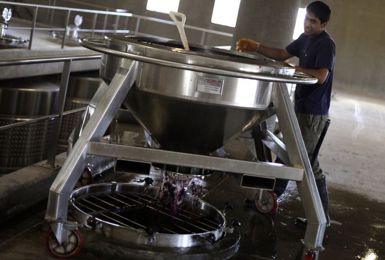 otoño, turismo bodegas, viña, viñedo, vino, vitivinicultura, uva, fruto, tardío, trabajadores, trabajo, día del trabajador, producción, economía