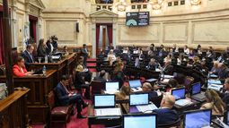 La Cámara Alta le dio un nuevo revés al oficialismo nacional