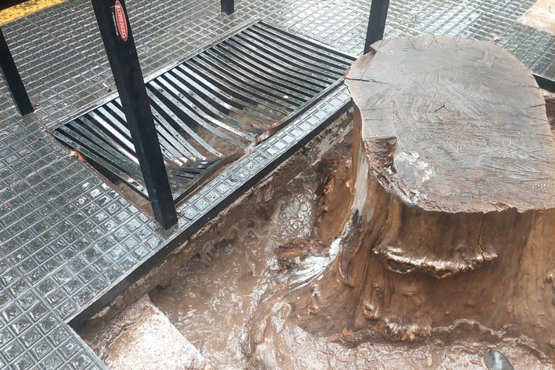 Mendoza tendr&aacute; m&aacute;s lluvias y tormentas: qu&eacute; zonas est&aacute;n bajo alerta por granizo.
