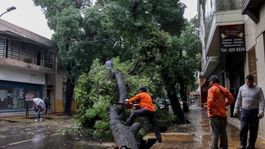 Sitio Andino | El día después de la tormenta