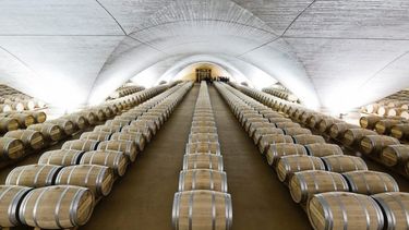 En España ya hablan de un boom exportador de vinos