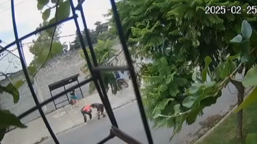 Sitio Andino | motochorros asesinato Tortuguitas.png