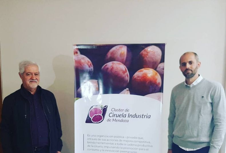 Cluster Ciruela Industria