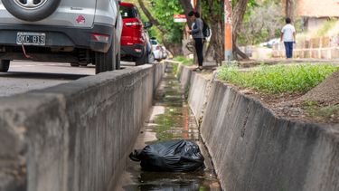 Dengue: tras las intensas lluvias en Mendoza, Salud brindó una serie de recomendaciones. Dengue: tras las intensas lluvias en Mendoza, Salud brindó una serie de recomendaciones.