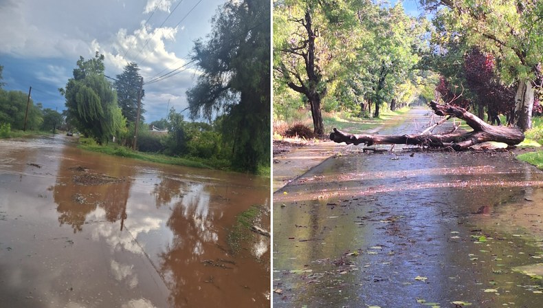 Caída de árboles, calles anegadas y malas condiciones climáticas