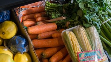 Sitio Andino | frutas, verduras, verduleria, zanahoria.jpg
