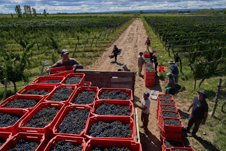 Las economías regionales tienen todavía mucho camino por recorrer en la agroindutria argentina