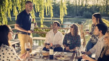 Mendoza, el destino más elegido para hacer turismo vitivinícola: cómo y qué buscan los viajeros
