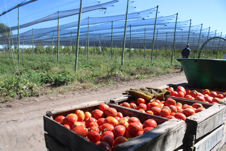 Difícil año para la producción en el sur provincial