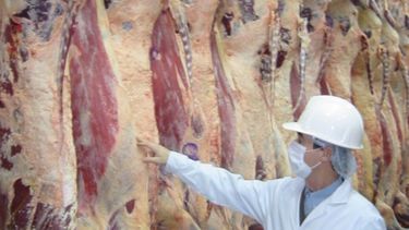 Estiman que las exportaciones de carne vacuna superarán las 900.000 toneladas en 2020